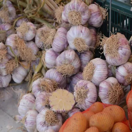 Plages De Cavaliere Ii 1 Lägenhet *